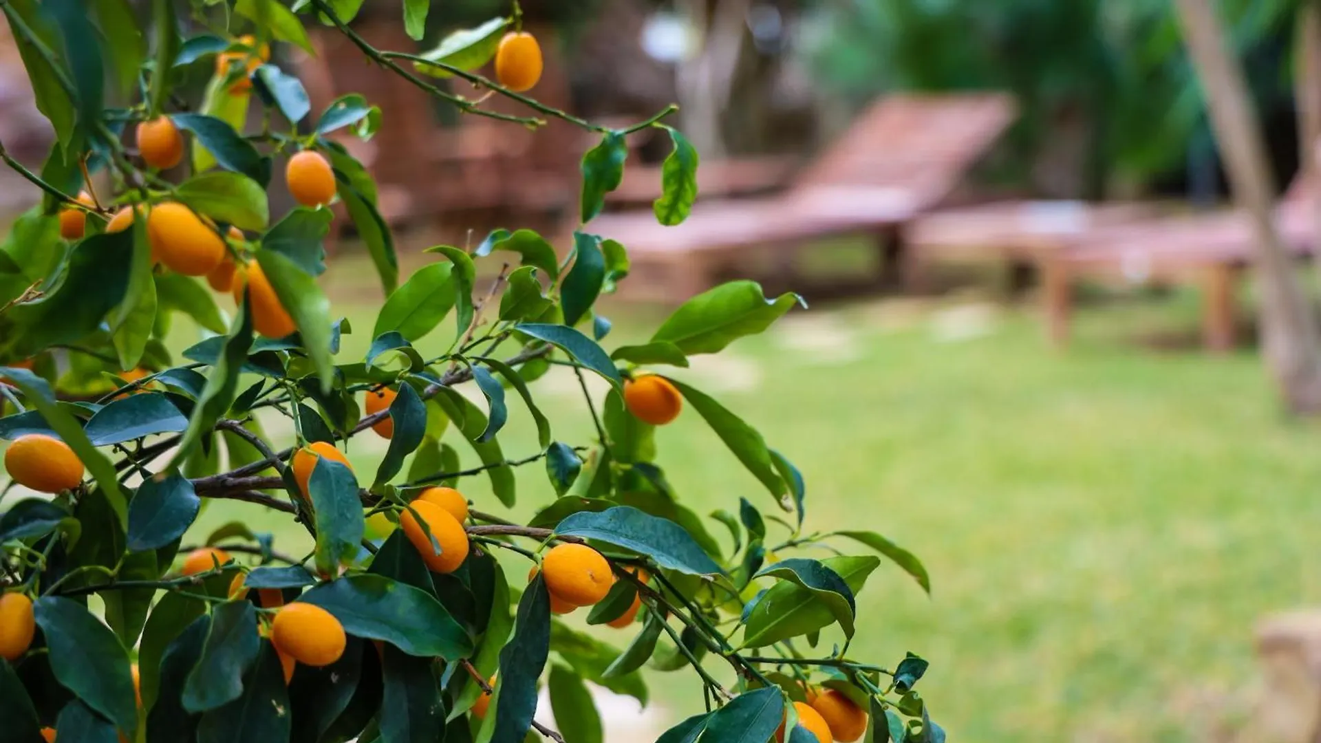 Casita Garden&Spa Carini Guest house